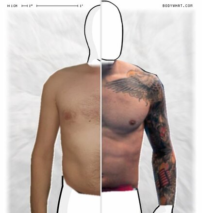 Torso Comparison