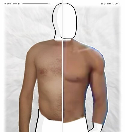 Torso Comparison