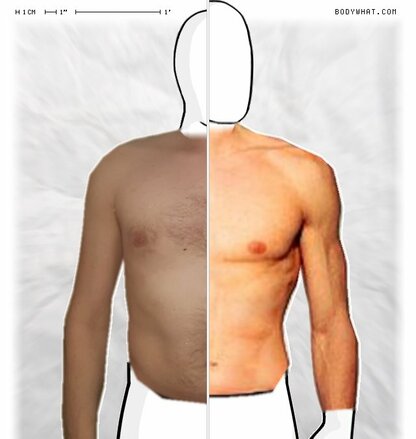 Torso Comparison