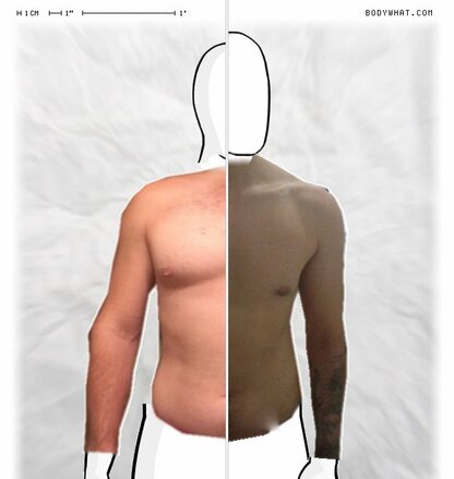 Torso Comparison