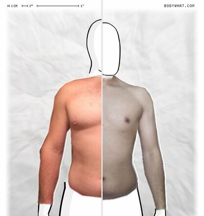 Torso Comparison
