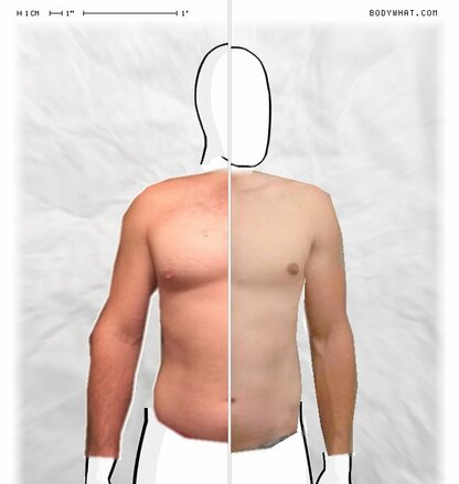 Torso Comparison