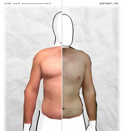 Torso Comparison