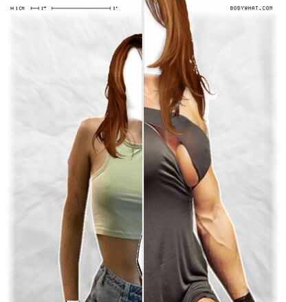 Torso Comparison