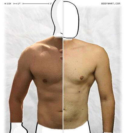 Torso Comparison