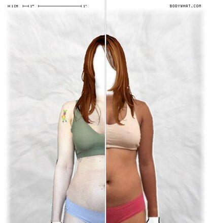 Torso Comparison