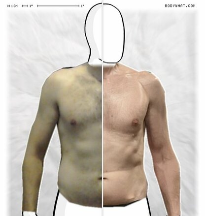 Torso Comparison