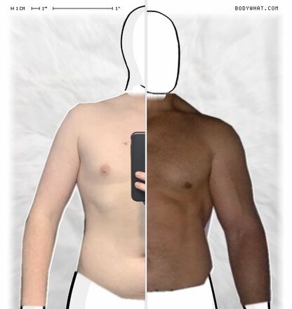 Torso Comparison