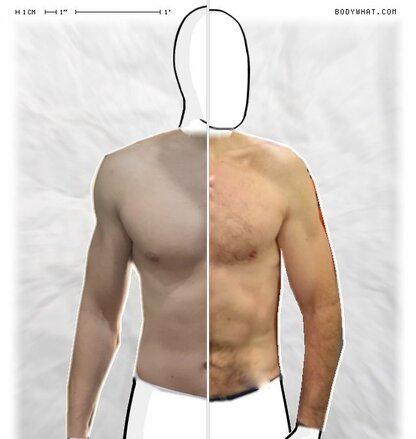 Torso Comparison