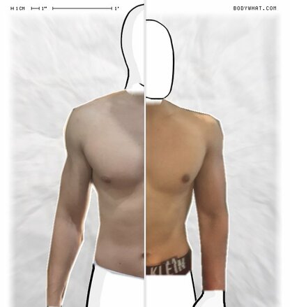 Torso Comparison
