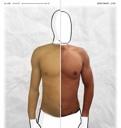 Torso Comparison