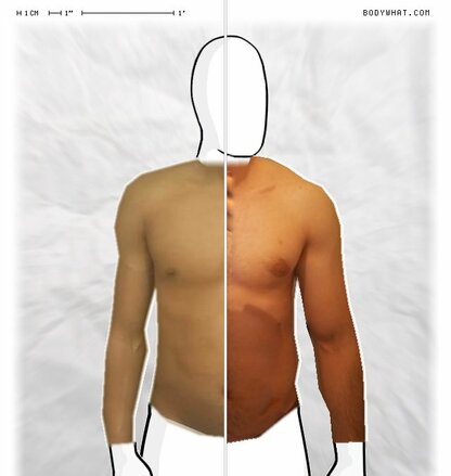 Torso Comparison