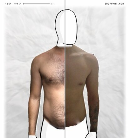 Torso Comparison