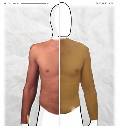 Torso Comparison