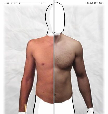 Torso Comparison