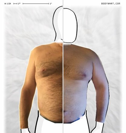 Torso Comparison