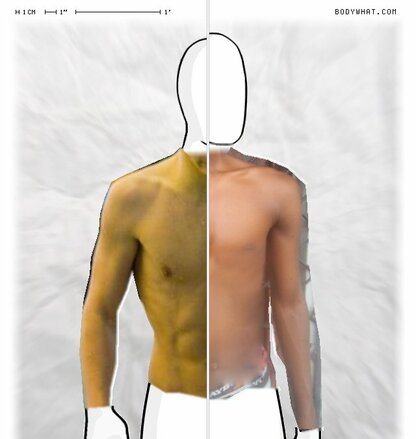 Torso Comparison