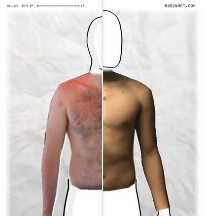 Torso Comparison