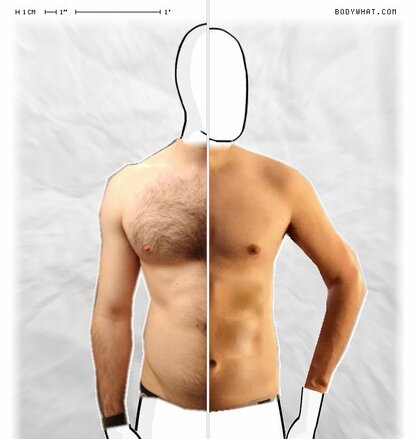 Torso Comparison