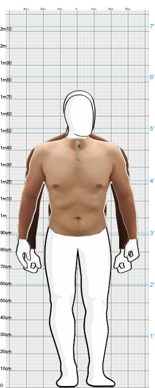 Full Size Comparison