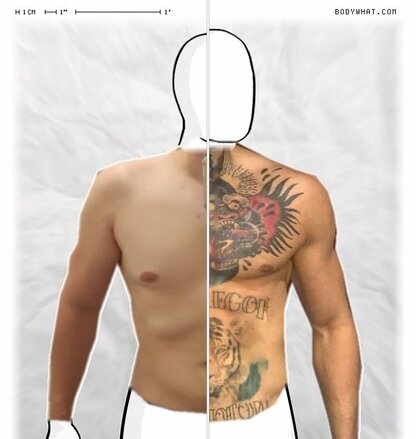 Torso Comparison