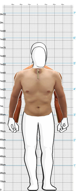 Full Size Comparison