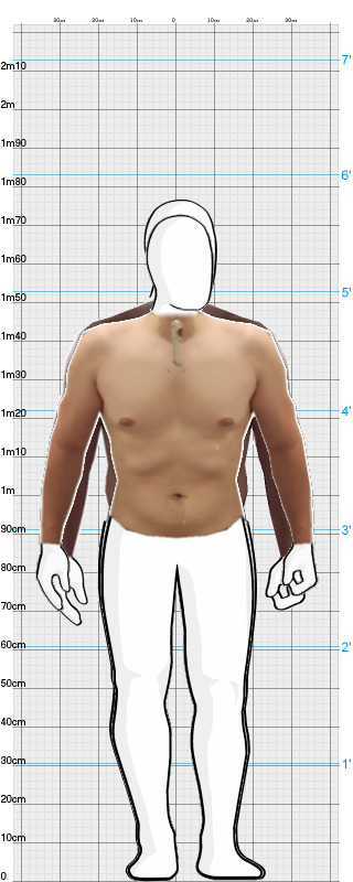 Full Size Comparison