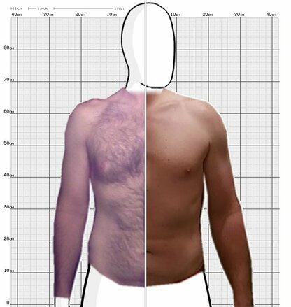 Torso Comparison