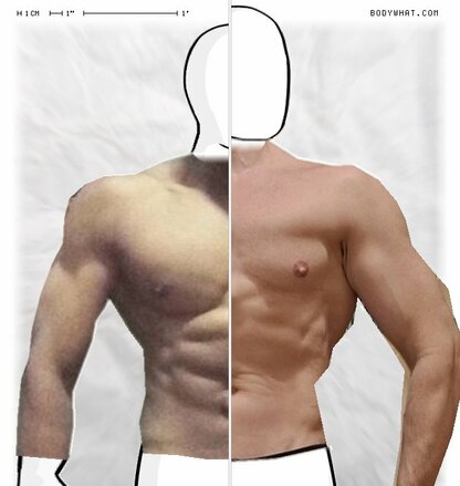 Torso Comparison