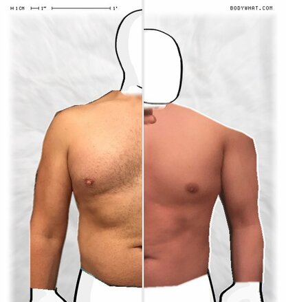 Torso Comparison