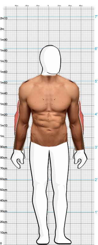 Full Size Comparison