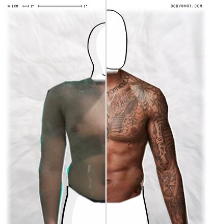 Torso Comparison