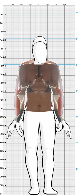 Full Size Comparison