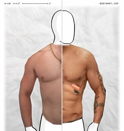 Torso Comparison