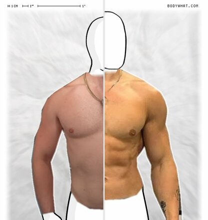 Torso Comparison