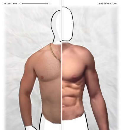 Torso Comparison