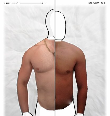 Torso Comparison