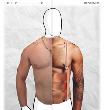 Torso Comparison