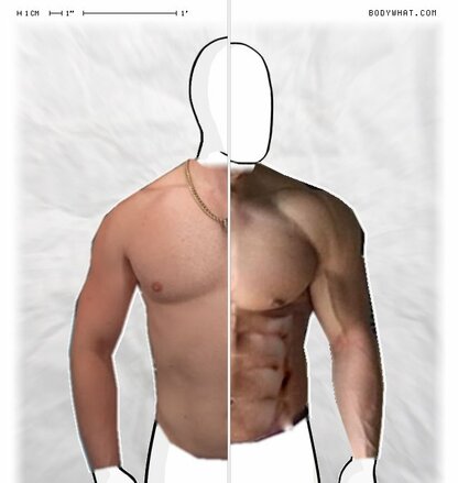 Torso Comparison