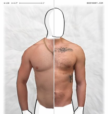 Torso Comparison
