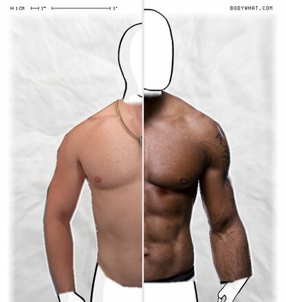 Torso Comparison