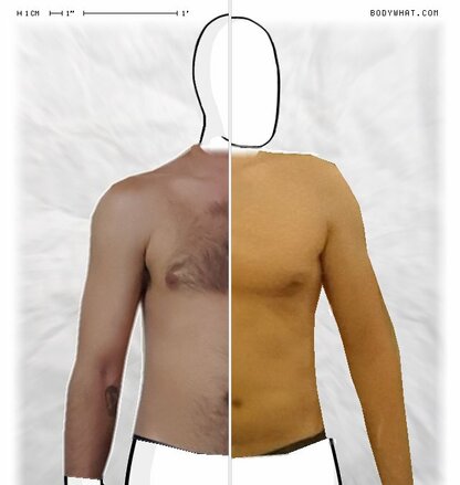 Torso Comparison