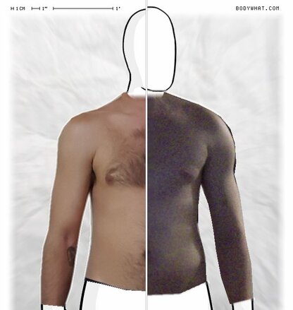 Torso Comparison