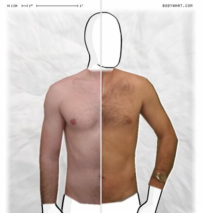 Torso Comparison