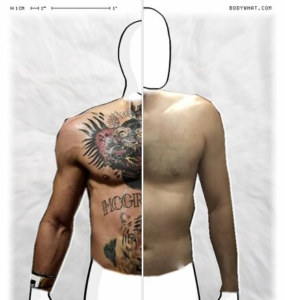 Torso Comparison