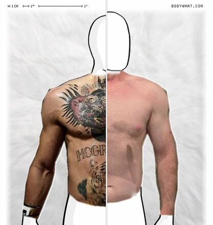 Torso Comparison