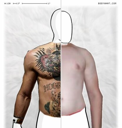 Torso Comparison