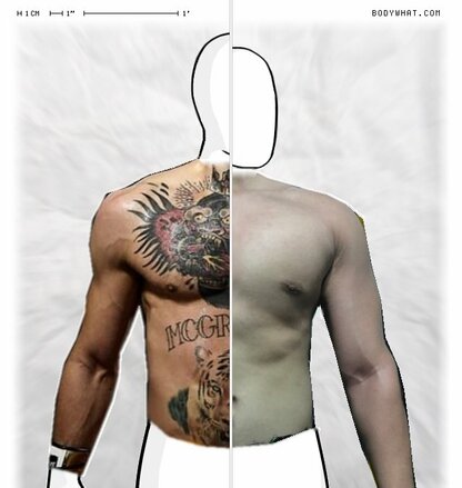 Torso Comparison