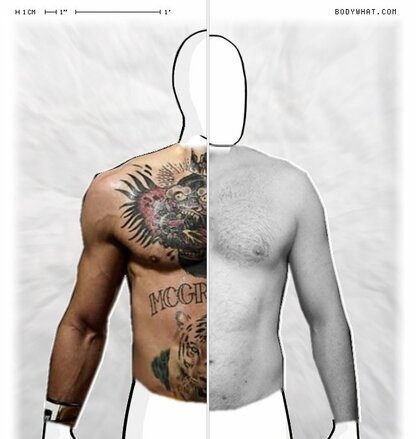 Torso Comparison