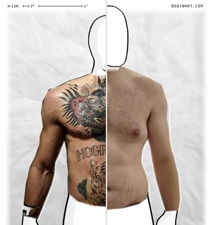 Torso Comparison